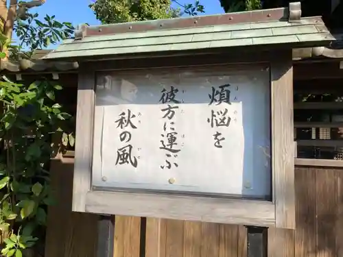 實相寺（実相寺）のその他建物