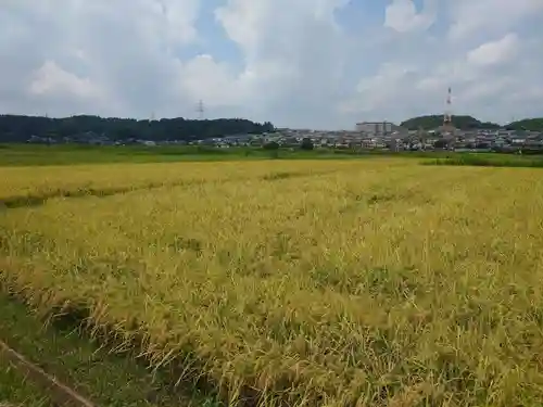 鶴峯八幡宮(千葉県)