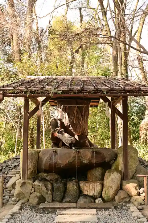 賀茂御祖神社(下鴨神社)(京都府)