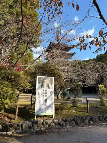醍醐寺(京都府)