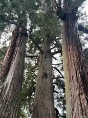 金毘羅宮慈眼寺の自然