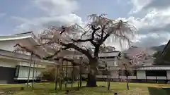 醍醐寺(京都府)