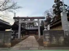 氷川神社の鳥居