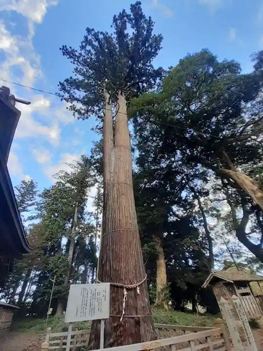 鹿島神社(茨城県)