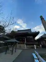 曼荼羅寺の本殿・本堂
