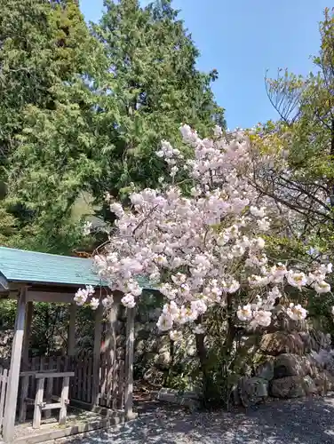 宇波西神社(福井県)