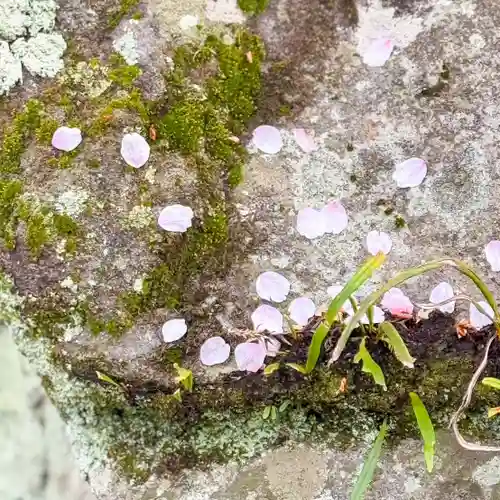 伊勢の国 四天王寺(三重県)