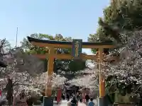 平野神社の{uncategorized: "未分類", other: "その他", undefined: "問題あり", building: "その他建物", grave: "お墓", sacred_gate: "鳥居", guardian: "狛犬", statue: "像", buddha: "仏像", history: "歴史", nature: "自然", garden: "庭園", animal: "動物", pagoda: "塔", temizu: "手水舎", mountain_gate: "山門・神門", sanctuary: "本殿・本堂", subordinate: "末社・摂社", art: "芸術", scenery: "景色", jizo: "地蔵", ema: "絵馬", goshuin: "御朱印", omikuji: "おみくじ", items: "授与品その他", amulet: "お守り", goshuincho: "御朱印帳", eats: "食事", festival: "お祭り", votive_dance: "神楽", shichigosan: "七五三参", wedding: "結婚式", experience: "体験その他", initially: "初詣", around: "周辺", anti_infection: "感染症対策"}