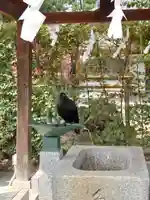 種貸社(住吉大社末社)(大阪府)