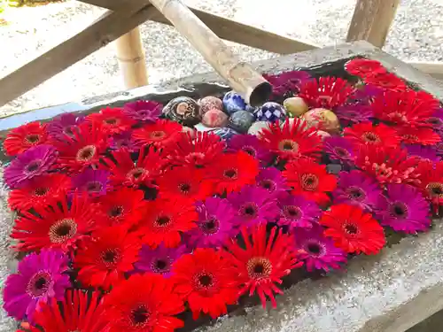 宝林寺(静岡県)