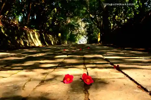酒列磯前神社(茨城県)