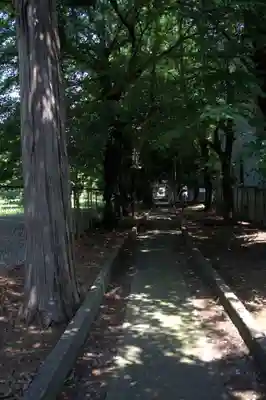 馬場氷川神社(埼玉県)
