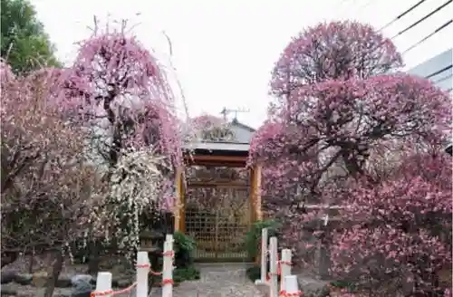 小村井 香取神社の庭園