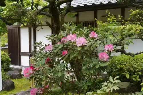 岡寺（龍蓋寺）(奈良県)