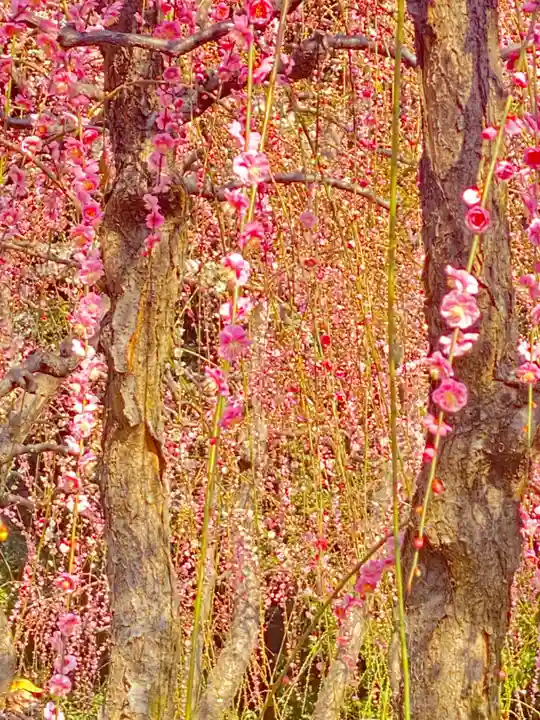 城南宮(京都府)