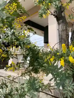 実相院(兵庫県)