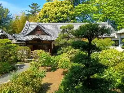 布施弁天 東海寺の{uncategorized: "未分類", other: "その他", undefined: "問題あり", building: "その他建物", grave: "お墓", sacred_gate: "鳥居", guardian: "狛犬", statue: "像", buddha: "仏像", history: "歴史", nature: "自然", garden: "庭園", animal: "動物", pagoda: "塔", temizu: "手水舎", mountain_gate: "山門・神門", sanctuary: "本殿・本堂", subordinate: "末社・摂社", art: "芸術", scenery: "景色", jizo: "地蔵", ema: "絵馬", goshuin: "御朱印", omikuji: "おみくじ", items: "授与品その他", amulet: "お守り", goshuincho: "御朱印帳", eats: "食事", festival: "お祭り", votive_dance: "神楽", shichigosan: "七五三参", wedding: "結婚式", experience: "体験その他", initially: "初詣", around: "周辺", anti_infection: "感染症対策"}