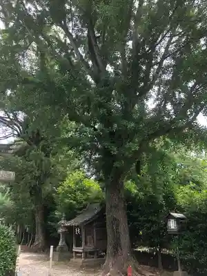 諏訪神社の自然