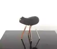 西方山極楽寺(岐阜県)