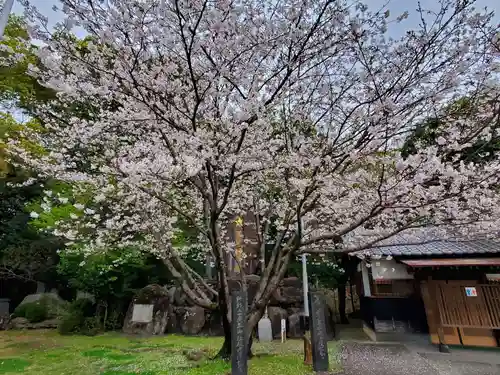 熊本縣護國神社の自然