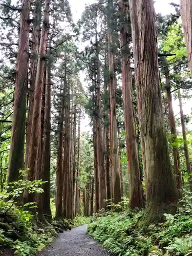 戸隠神社九頭龍社の自然