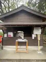 鹿児島神宮(鹿児島県)