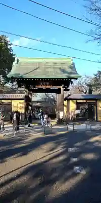 豪徳寺(東京都)