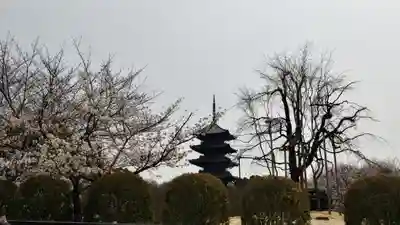 東寺（教王護国寺）(京都府)