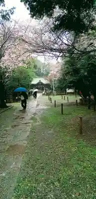 畑子安神社(千葉県)