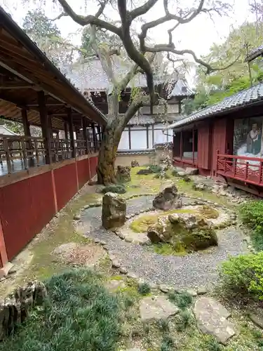 十輪寺の庭園