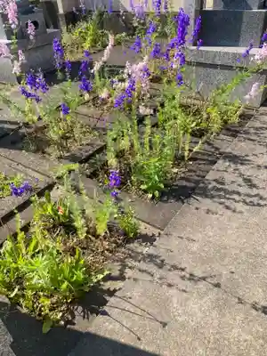 法然寺(神奈川県)