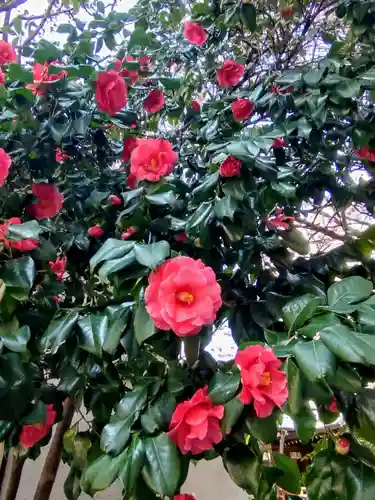 蔵前神社(東京都)