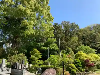 圓蔵寺のその他建物