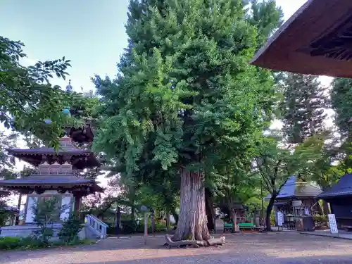 恵隆寺(立木千手観音)のその他建物