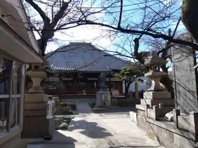 墨染寺（桜寺）(京都府)