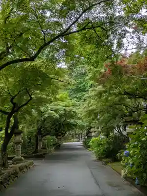 法華寺(岐阜県)