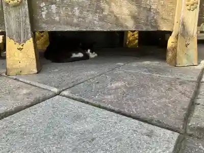 今市報徳二宮神社(栃木県)