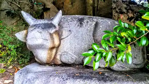 岡崎天満宮の狛犬