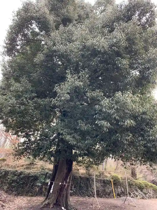 三峯神社のその他建物