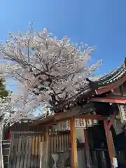 四天王寺(大阪府)