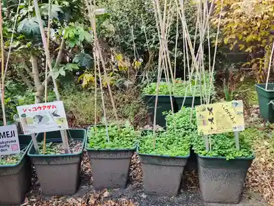 お菊神社（十二所神社境内社）(兵庫県)