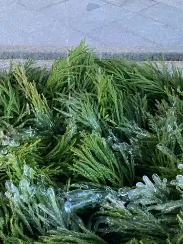 八坂神社(祇園さん)の手水舎