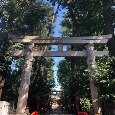 馬橋稲荷神社の鳥居