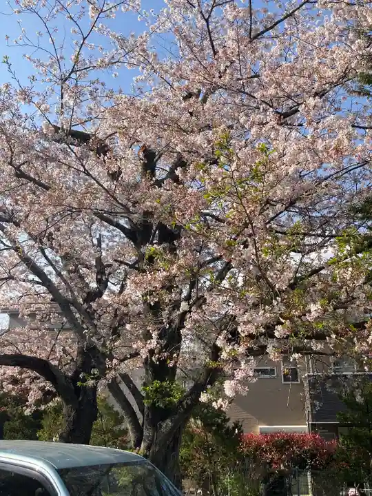 蓮大寺(神奈川県)