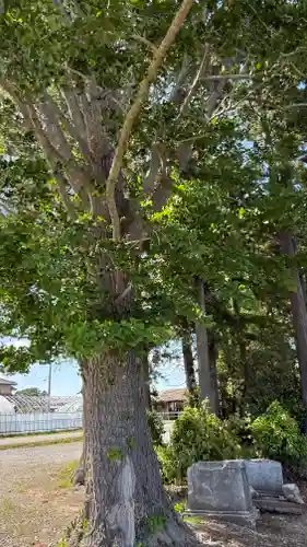 御刀神社(福島県)