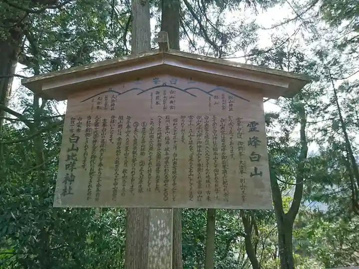 白山比咩神社の歴史