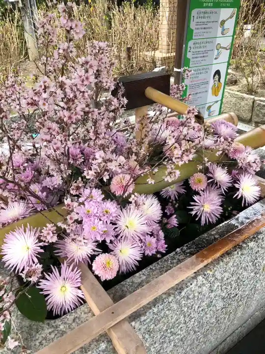 白山神社の手水舎