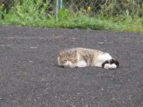 聖神社(埼玉県)