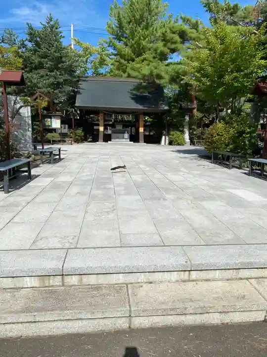 北見神社の動物