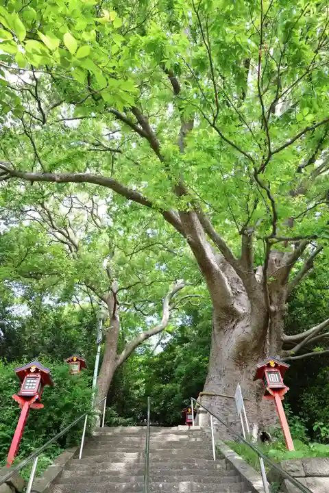 常陸第三宮 吉田神社(茨城県)